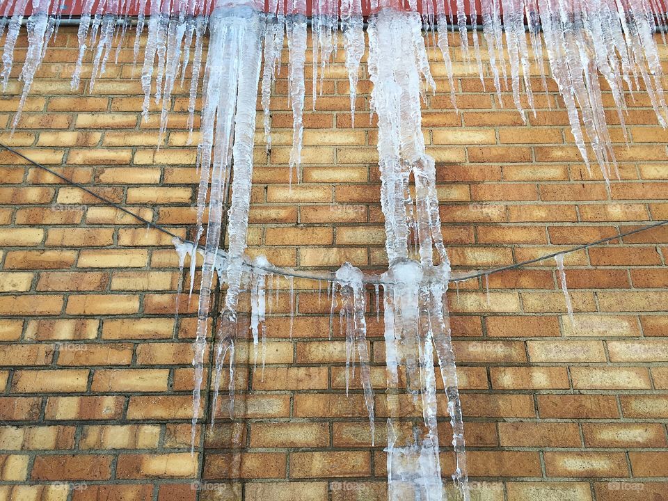 Up against a winter wall.