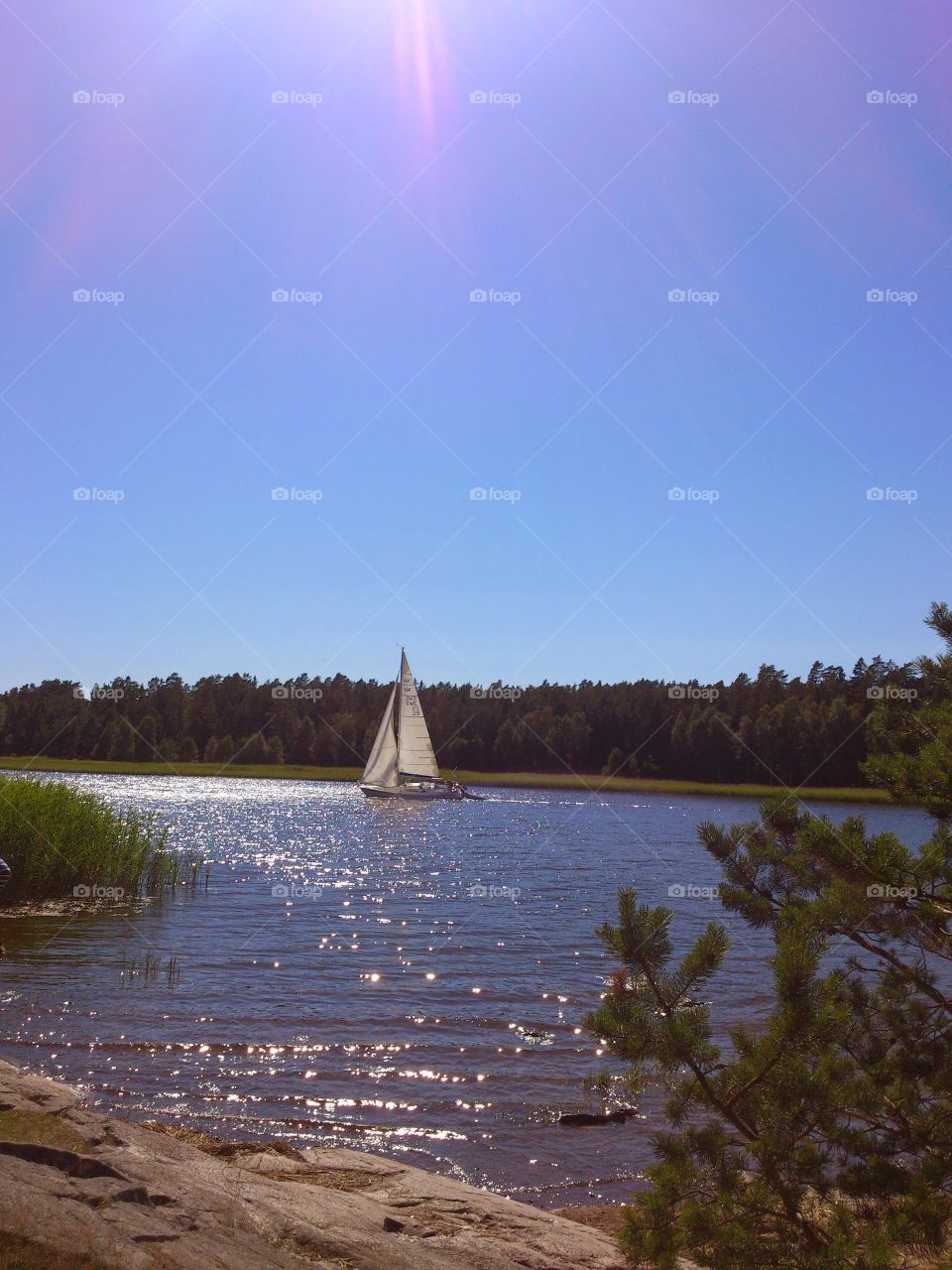 sailing on a warm summerday on the sea