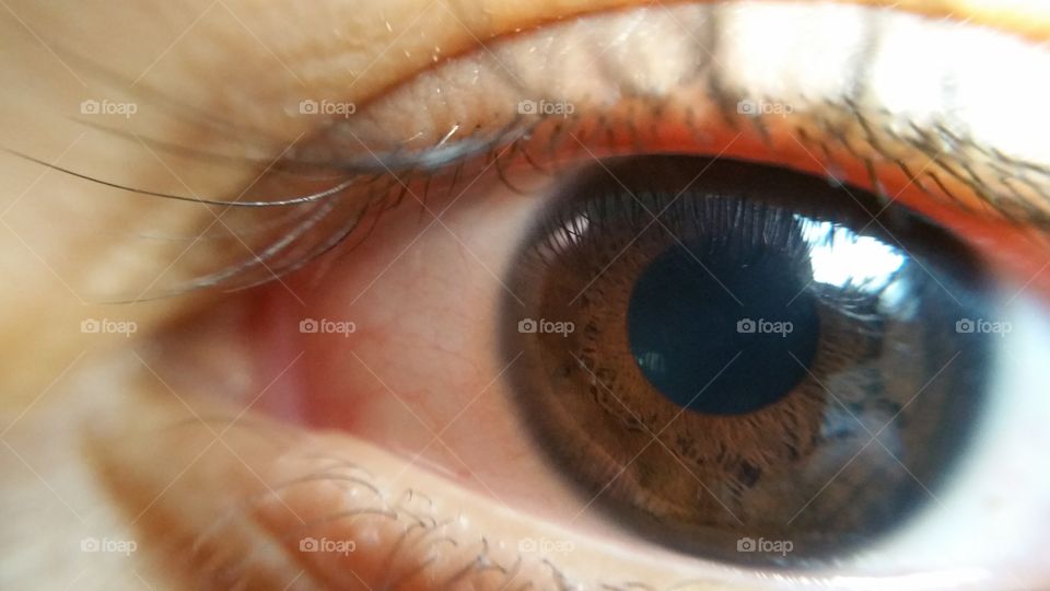 Brown eye