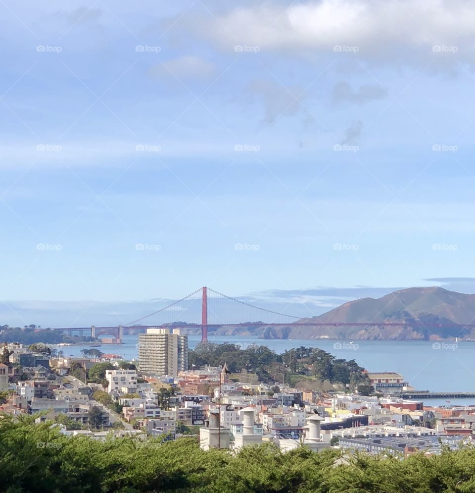 View of the Golden gate Bridge