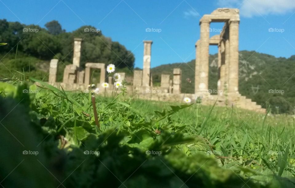 temple of Antas
