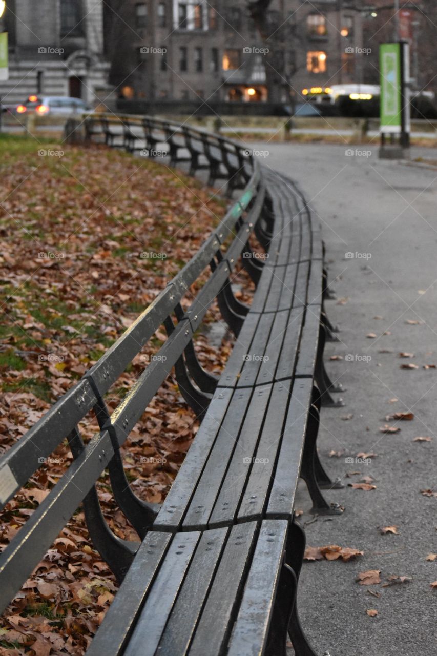 Central Park Benches