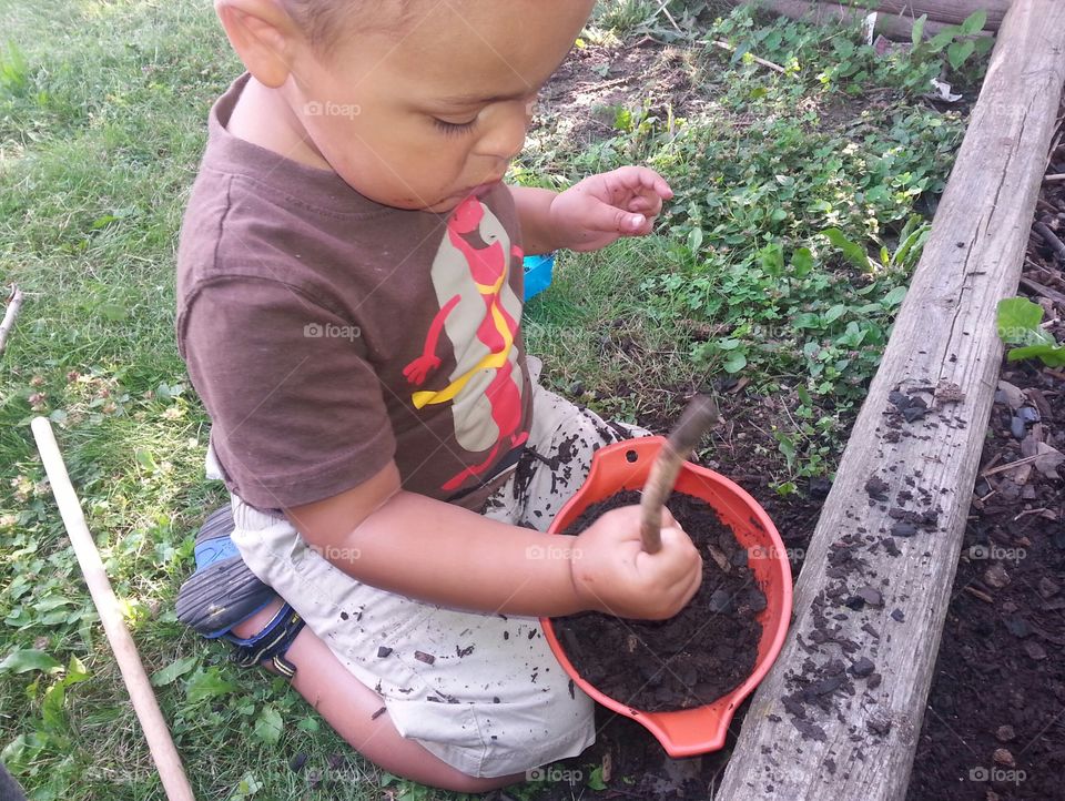Toddler Gardening. little boy helping with garden