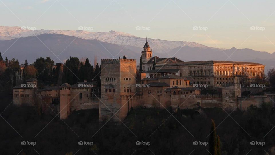 Alhambra 

Granada | Spain 2014