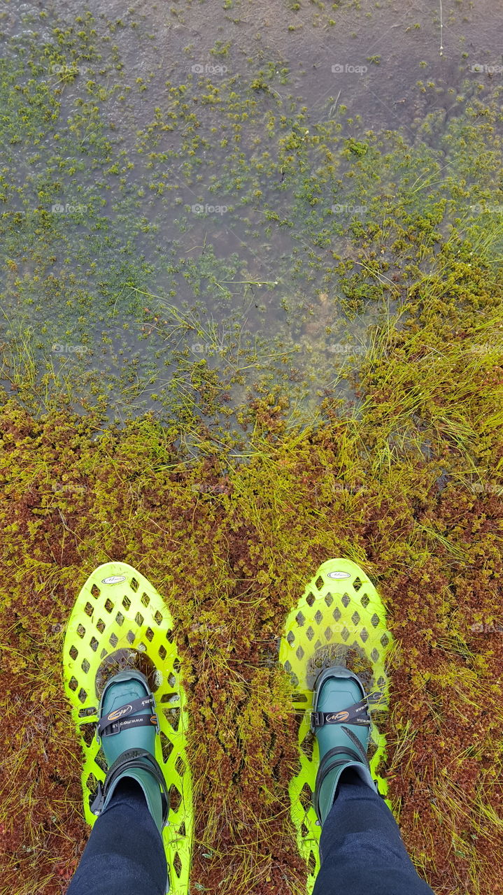 Standing in the swamp with special shoes.