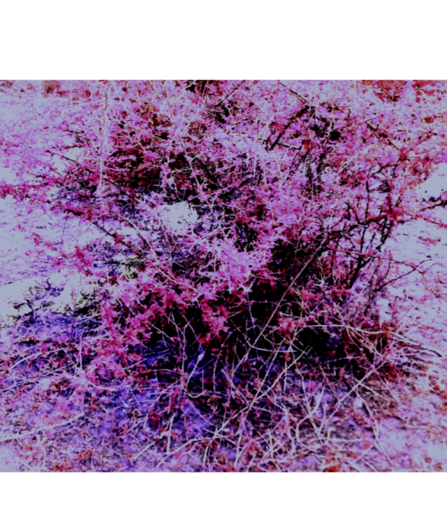 beautiful image