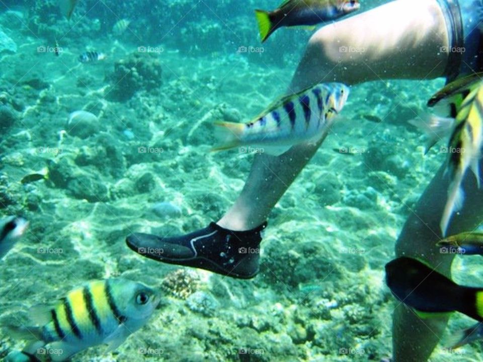 Snorkeling