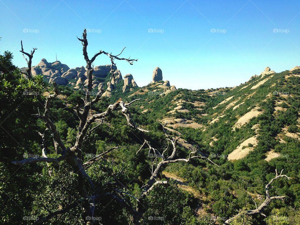 Relaxing at Monserrat