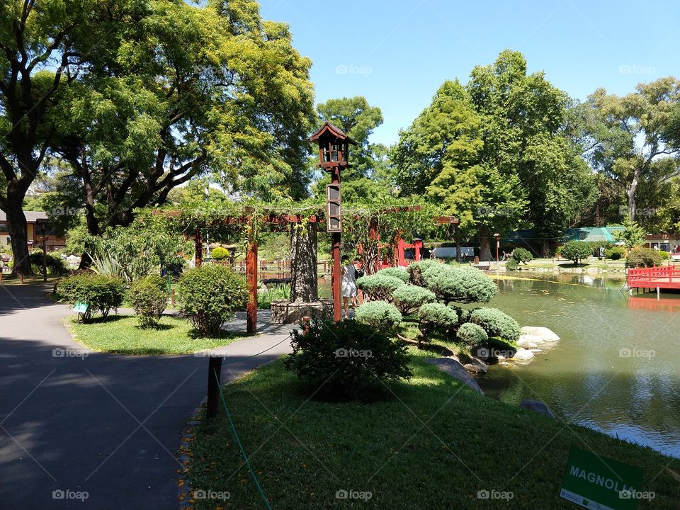 jardim japonês