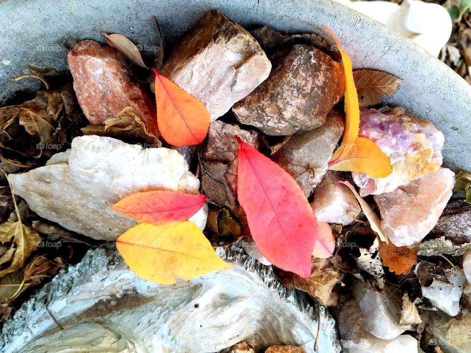 Fall, Nature, Leaf, Desktop, Ground