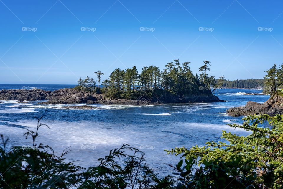 Rugged seaside with trees, rocky island and foamy ocean at Wild Pacific Trail on Vancouver Island, Canada 