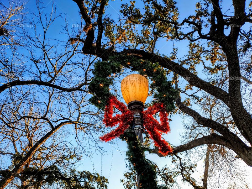 Small town light post decorated with a wreath and bow for the Christmas holidays with tree branches and blue sky in the background