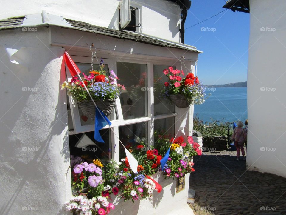 a pretty cottage window with summer flower displays and a view of the sea