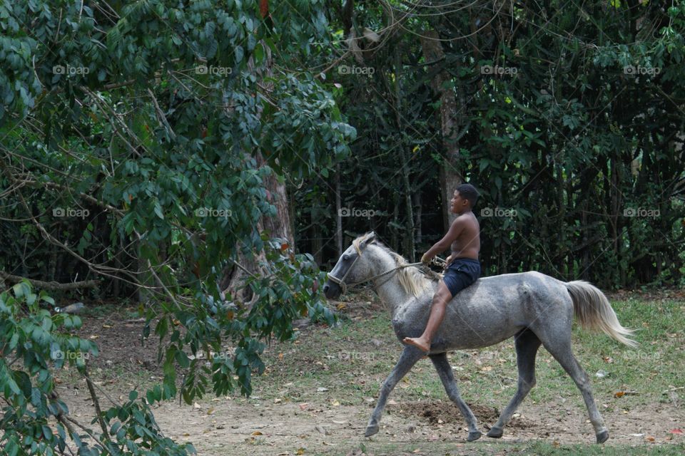 Young Boy On Horse