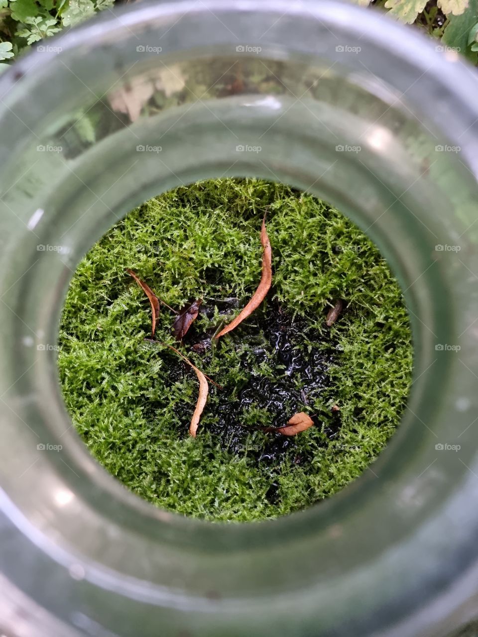 summer it's about to finish