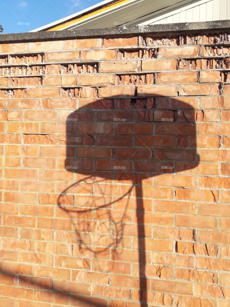basket shadow