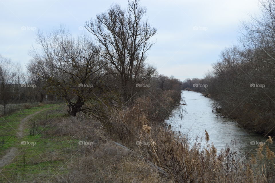 Autumn, river, trees, nature,