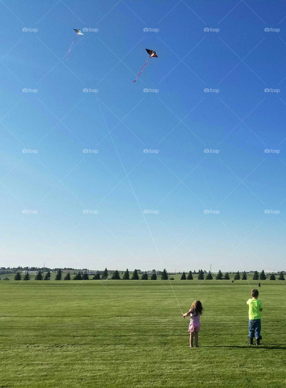 children flying their kites in the summer breeze.