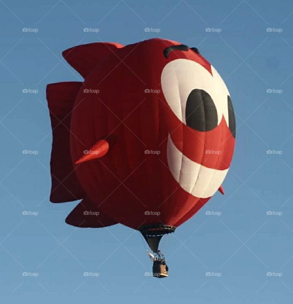 Nitrofish Balloon