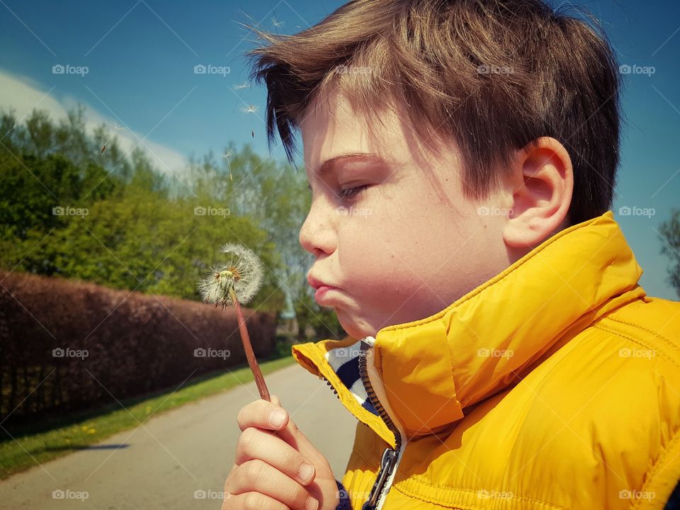 boy blowing a dandelion