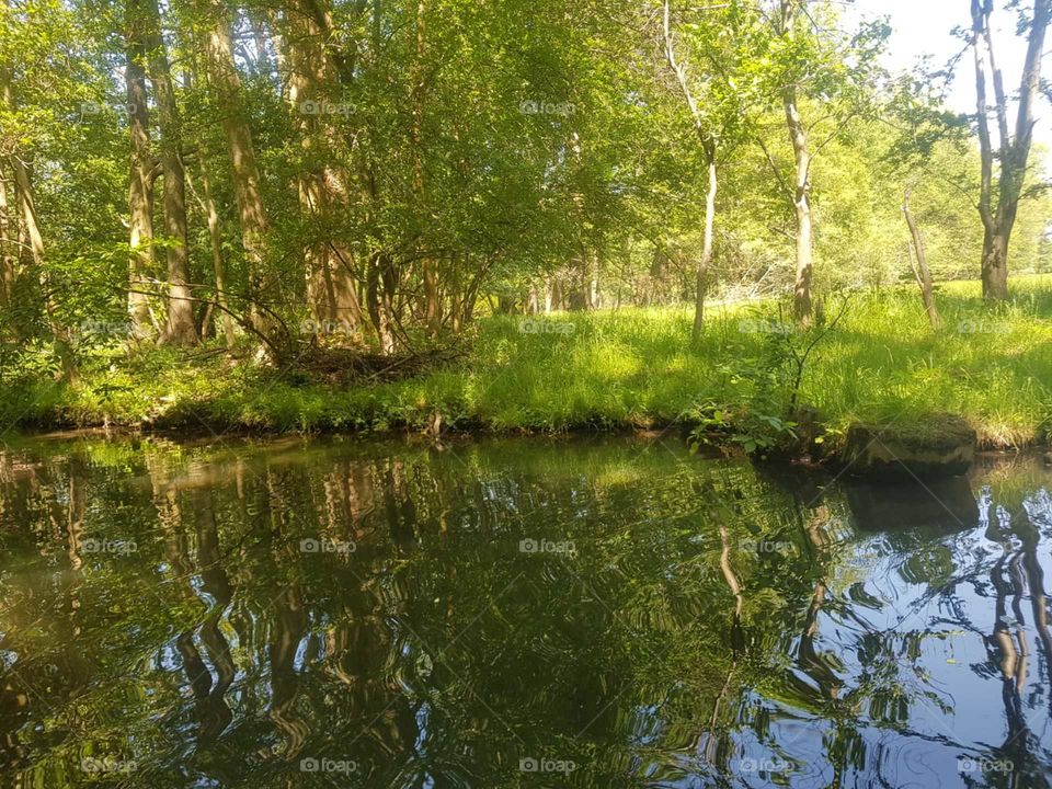 Spreewald