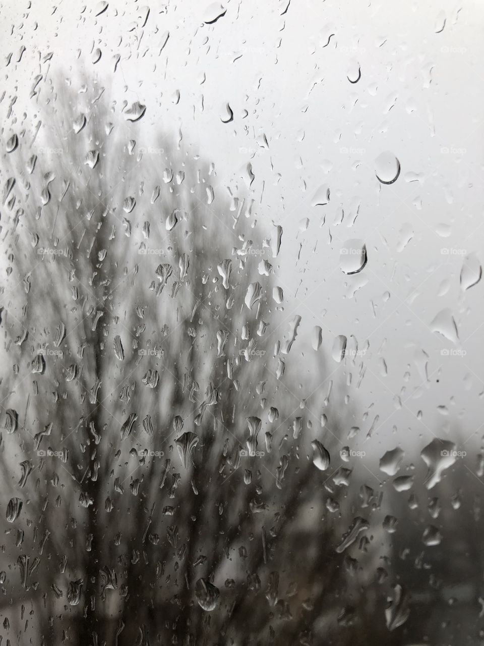 Drops of the rain on the window glass 
