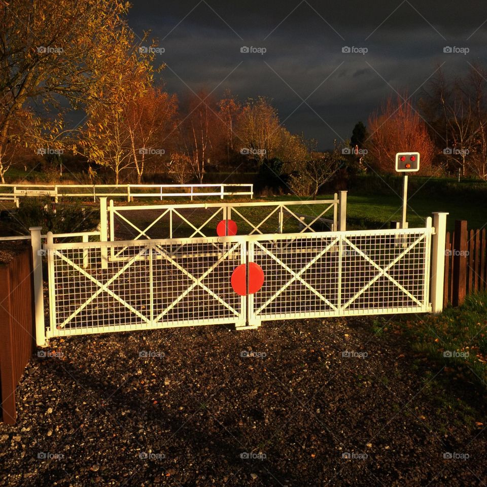 Level
Crossing 