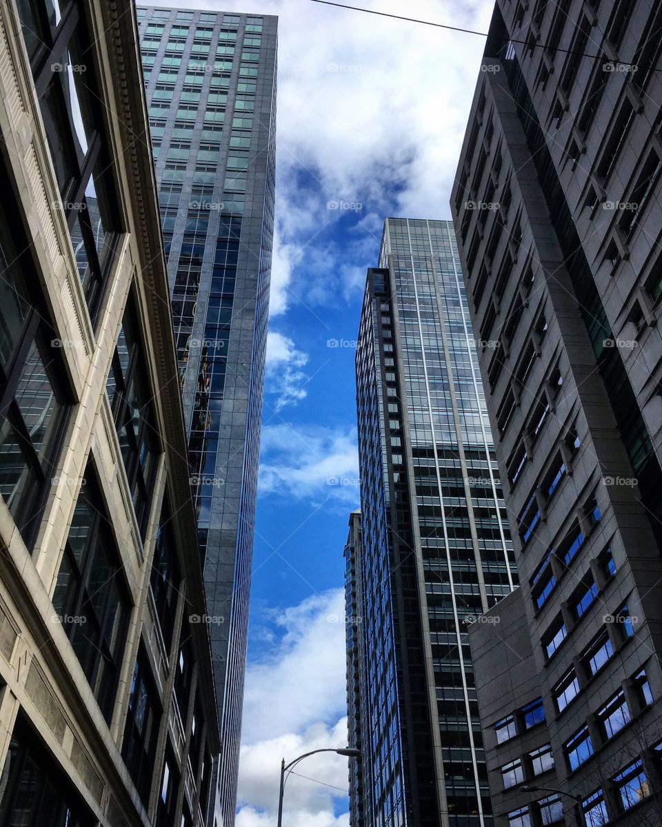 Seattle skyscrapers 