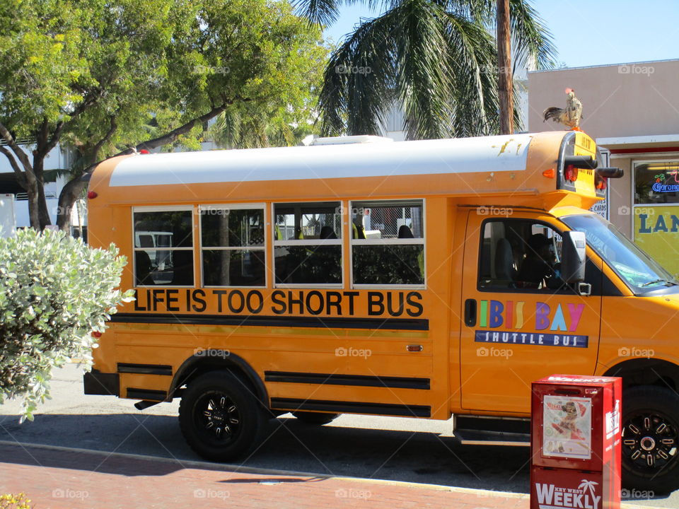 Life is too short. Key west bus