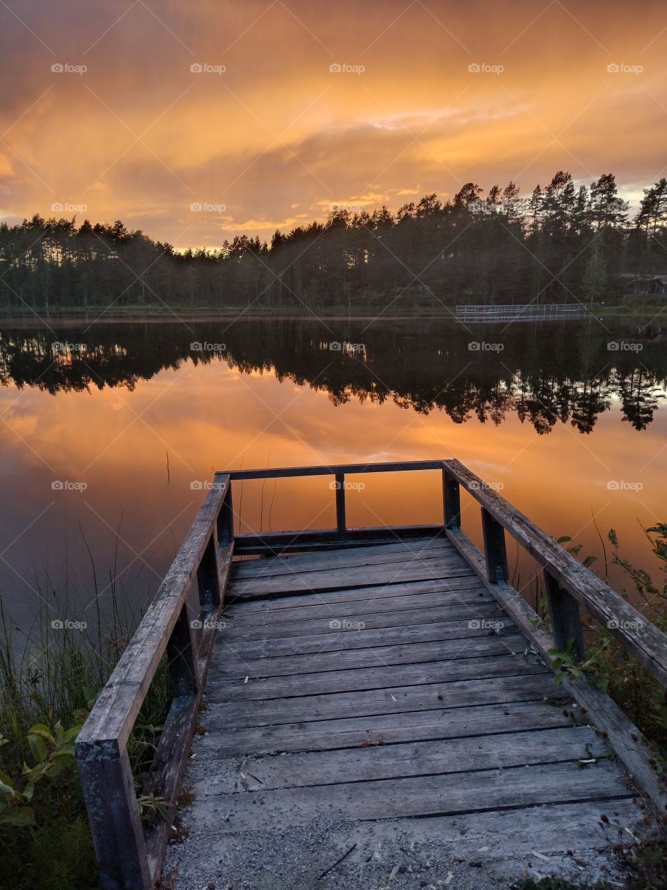 Swedish nature, lake reflection