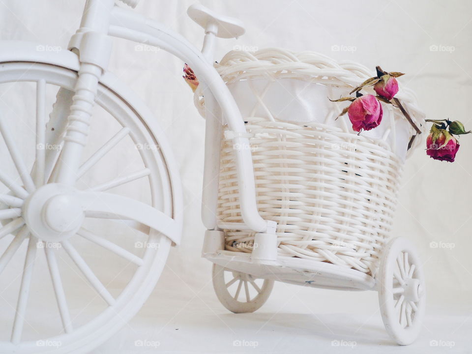 decorative toy bike and dried rose buds