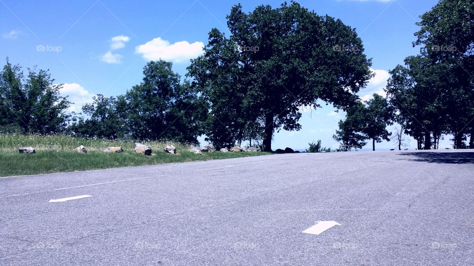 Landscape, Road, Tree, Guidance, Environment