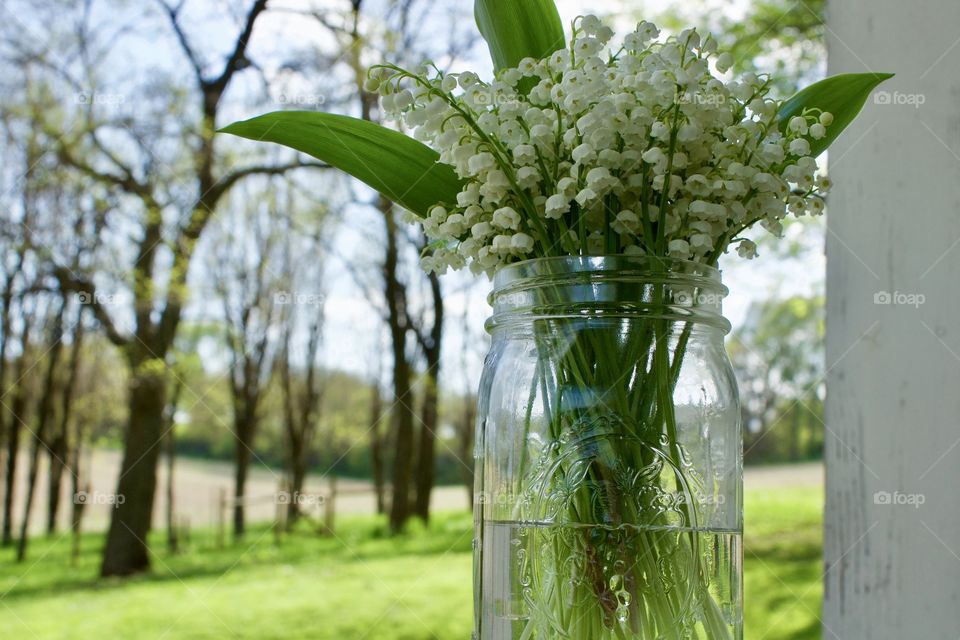 Low-angle view of Lily of the Valley blossoms in a mason jar against a blurred rural background