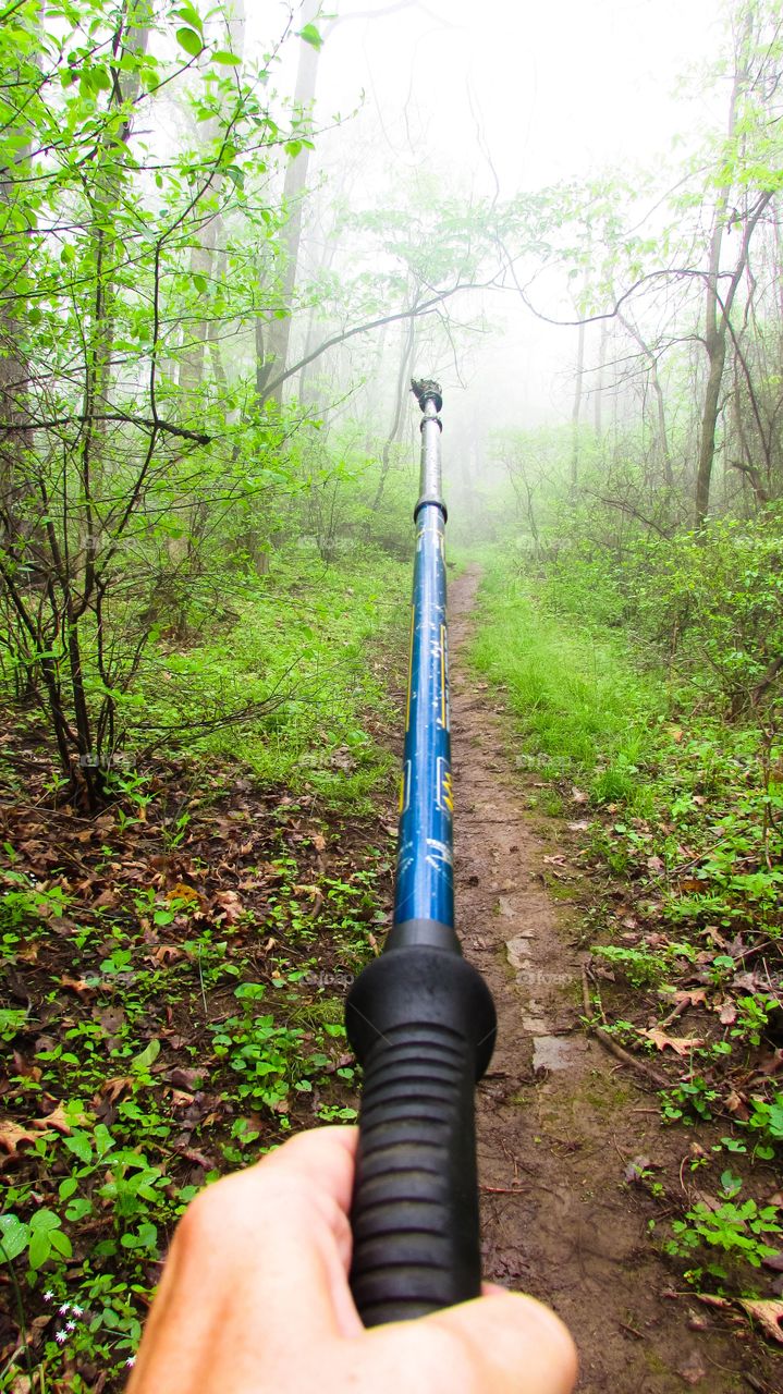 Hiking into the mist