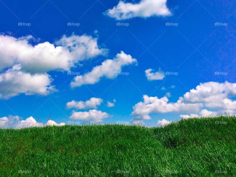 Landscape view of grass and clouds