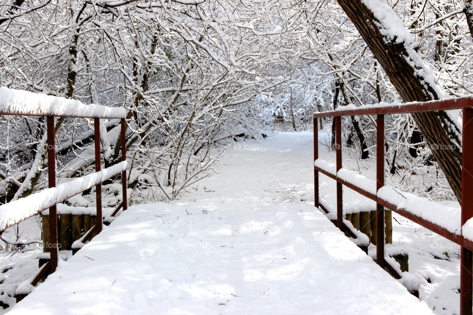 Winter hike.