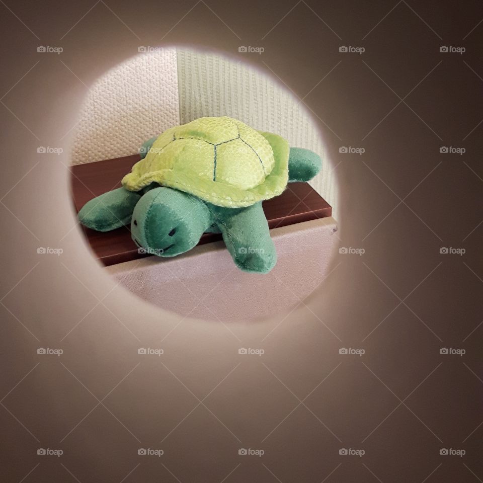 Toy turtle