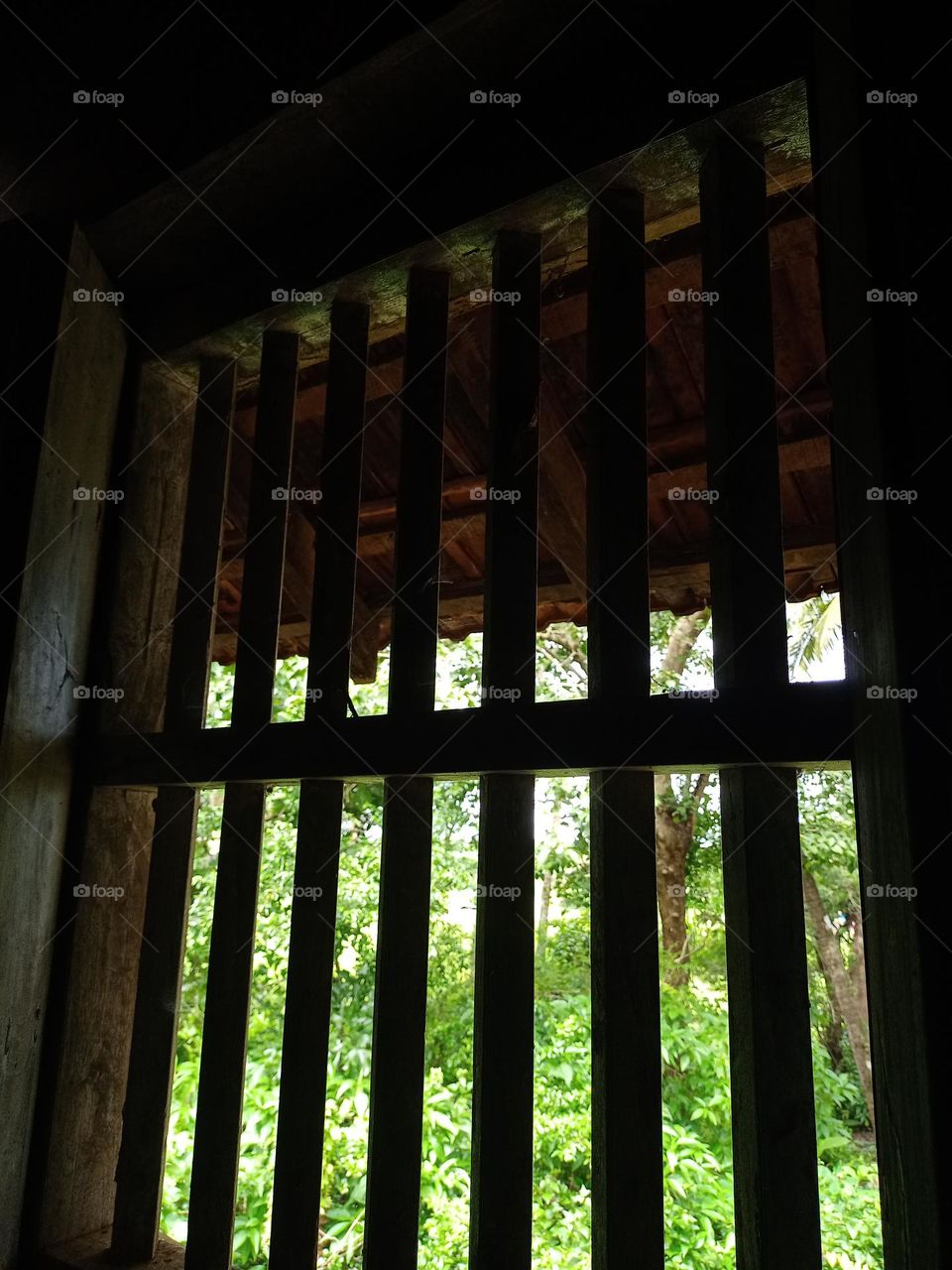 Beautiful view of nature from the window old house wooden window