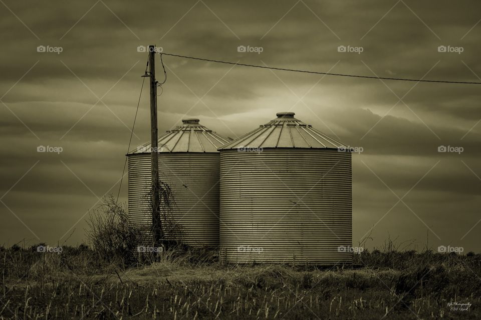 Lone Grain Bins