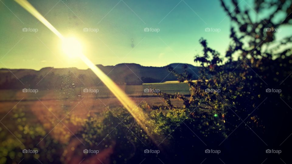 Even though part of my soul and being burned away in the [too hot to handle for a Goth] sun like the vampire I am, today was good.