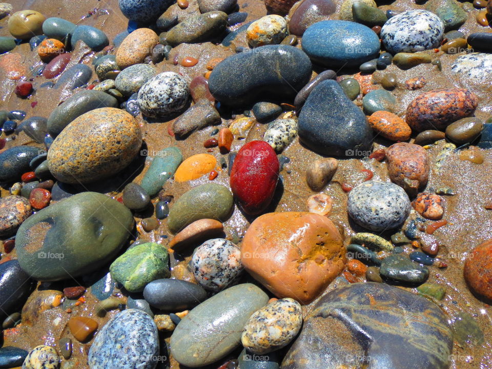 Gaff Point. Diversity in the Round