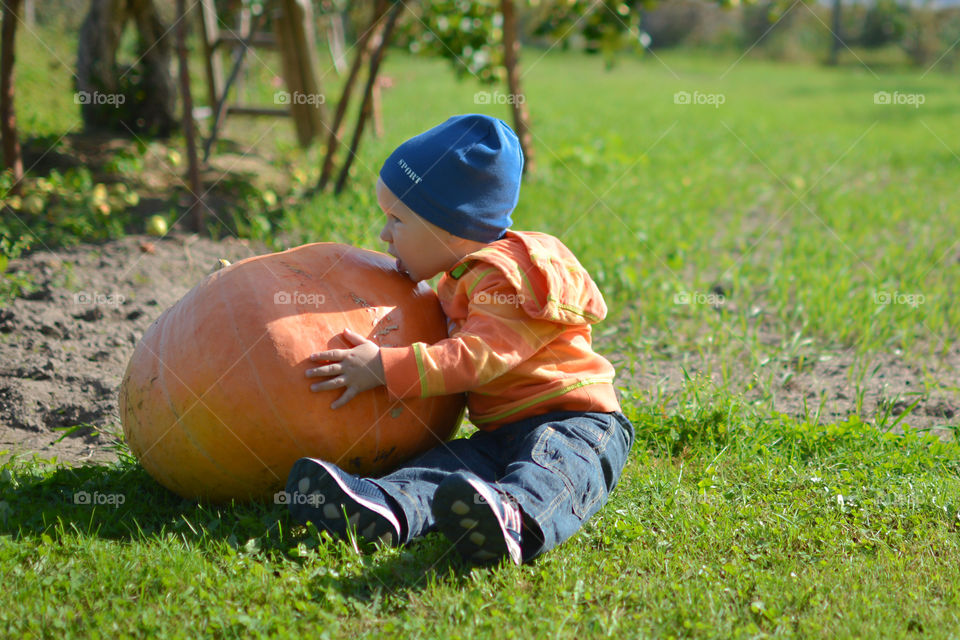 A little boy and a pumpkin