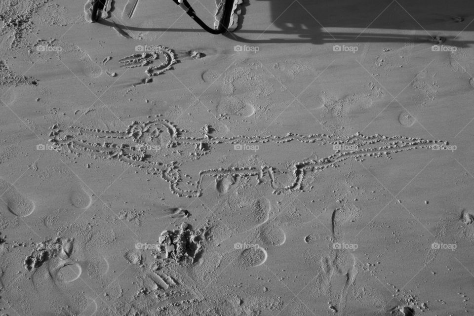 Alligator in the sand