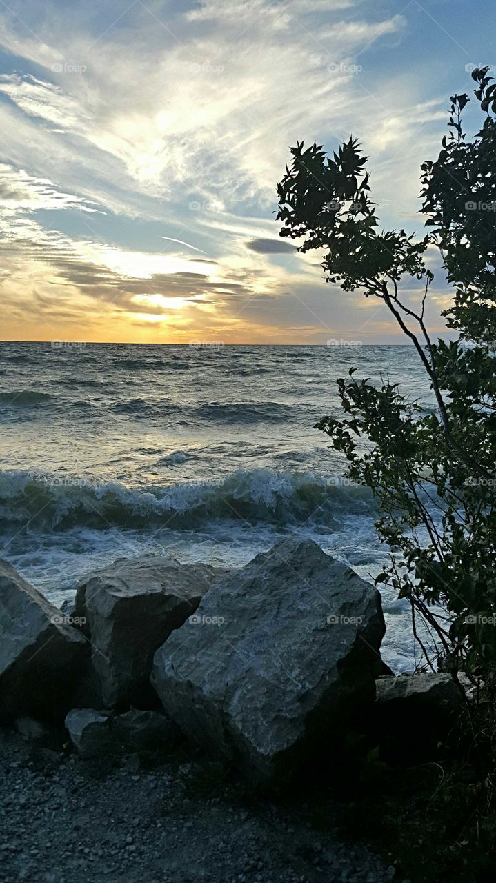 Point Pelee shoreline