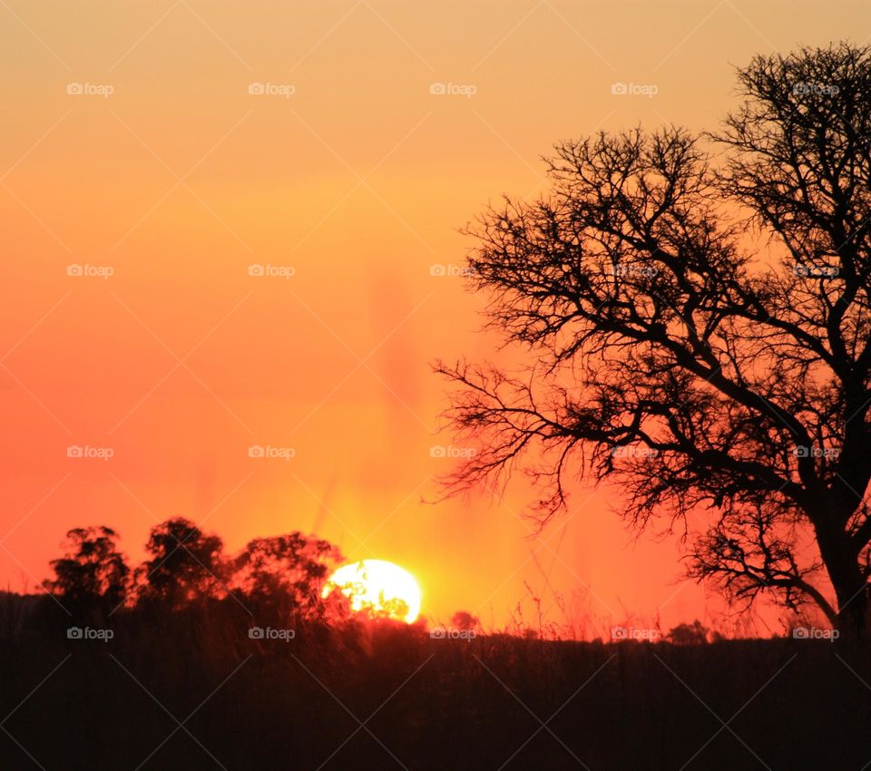 fire in the sky. a beautiful sunset