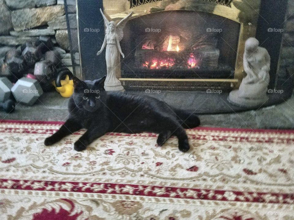Black cat laying on oriental rug in front of the warmth of a burning fireplace. There are two figurines on either side of the fireplace.