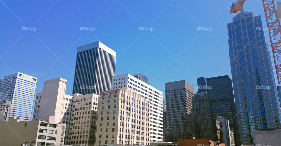 Seattle Buildings in the late afternoon with a beautiful summer skies