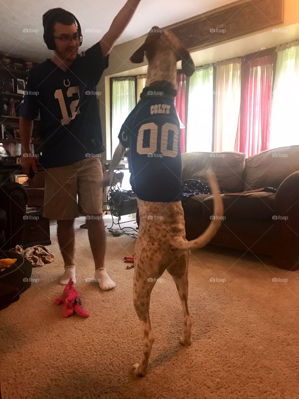 Dog standing tall for Indianapolis Colts 