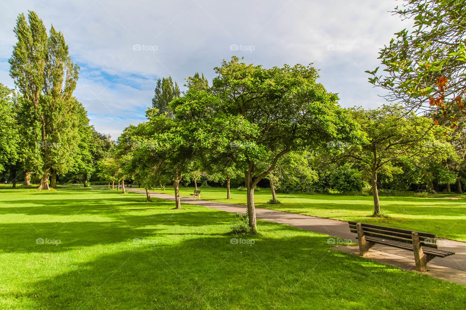 In the park