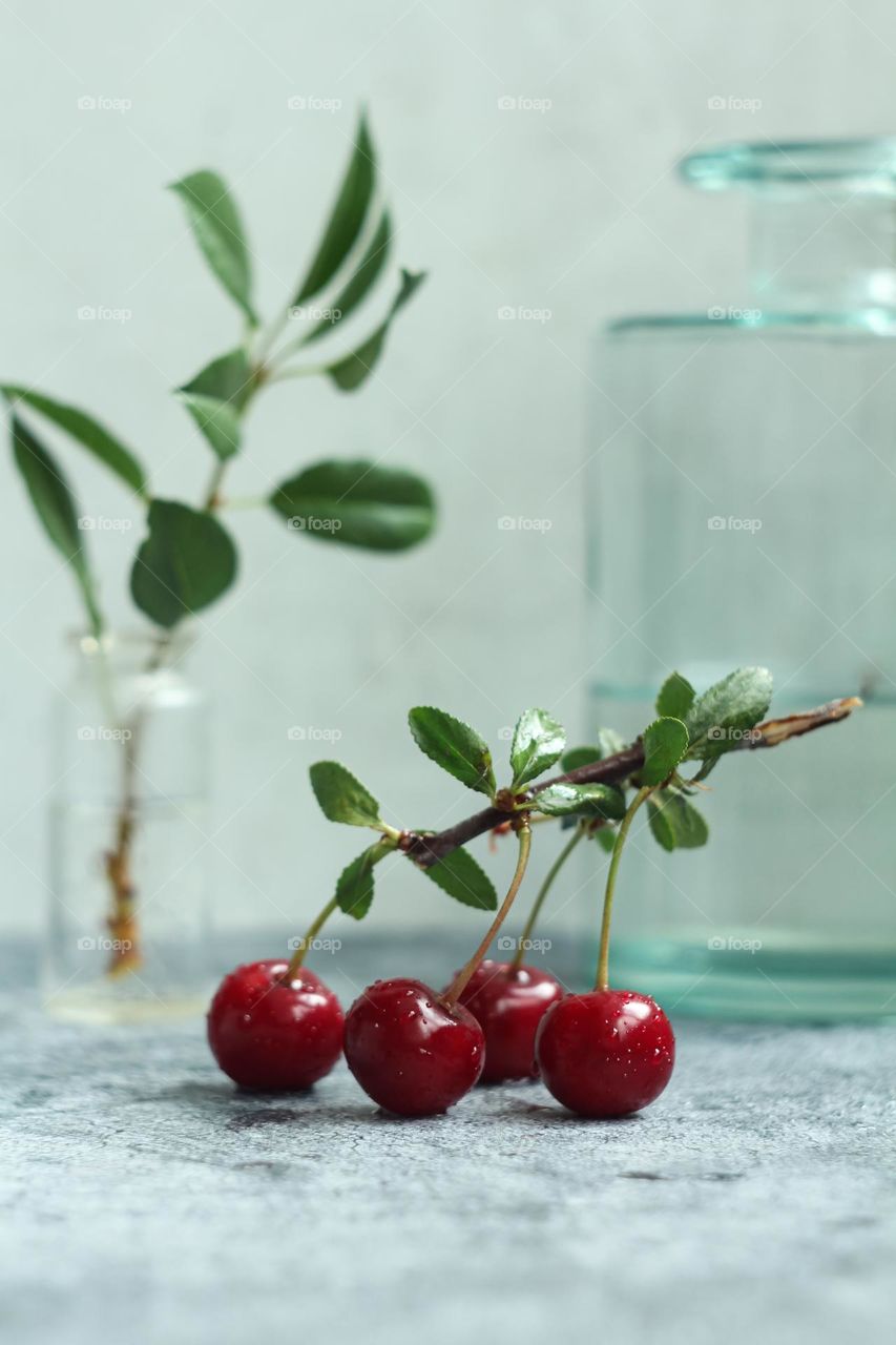 A branch of ripe cherries on the table